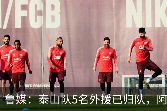 鲁媒：泰山队5名外援已归队，阿尔瓦罗6月份复出难度比较大